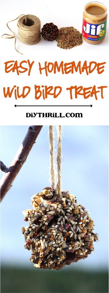 Easy Homemade Wild Bird Treat at DIYThrill.com