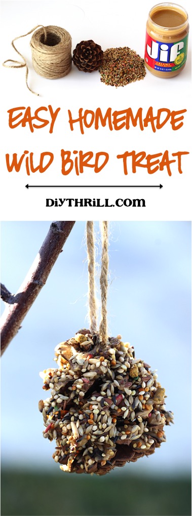 homemade pet bird treats