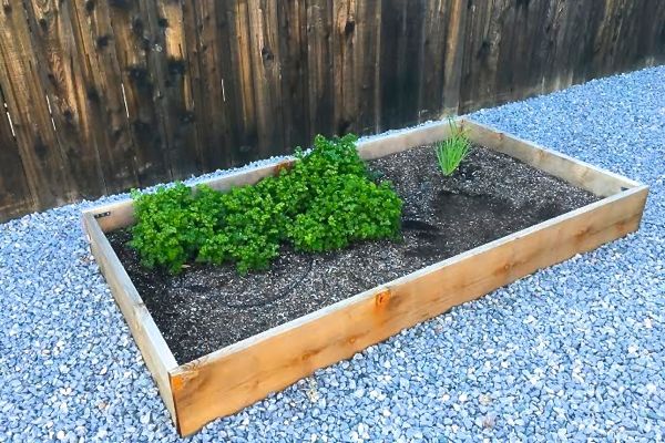 Outdoor Gardening Hacks