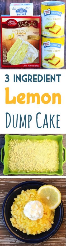3 Ingredient Dump Cake Recipe! (Lemon Blueberry) - DIY Thrill