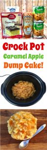 Cranberry Apple Dump Cake Recipe! (Just 4 Ingredients!) - DIY Thrill