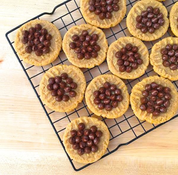 Peanut Butter Chocolate Chip Cookies