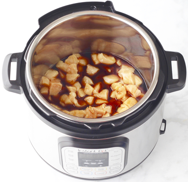 Instant Pot Teriyaki Chicken Breast and Rice