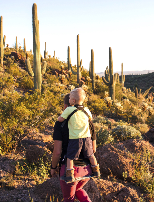 Piggyback Rider: Why Our Family Likes to Ride the Bar