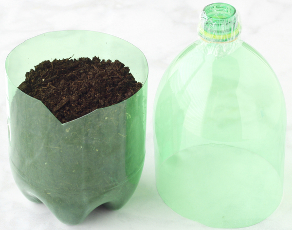 2 Liter Bottle Greenhouse