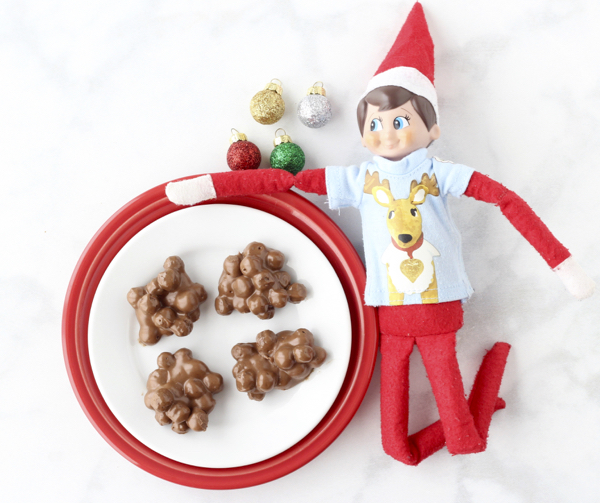 Reindeer Poop Recipe