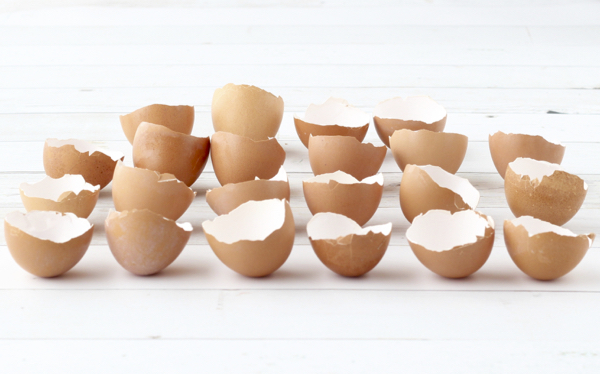 What Seeds to Plant in Eggshells